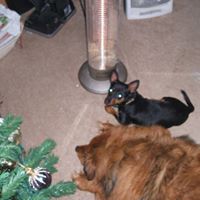 Donny Rowell Photo 4