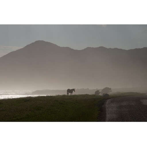 Andy Fox Photo 43