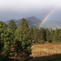 Chad Clayton Photo 10