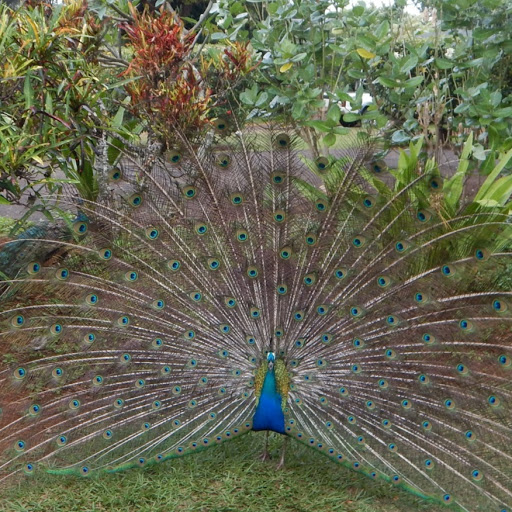 Angela Hanson Photo 33