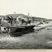 John Dacey Photo 30