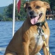 Roland Germain Photo 11