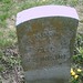 Wallace Webster Photo 8