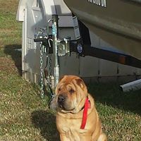 Steven Mathis Photo 18