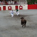 Paul Lamothe Photo 28