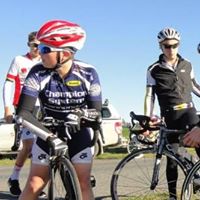 Sarah Wylie Photo 31