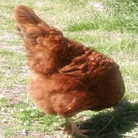 Kimberly Grimes Photo 13