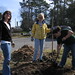 Sharon Mobley Photo 33