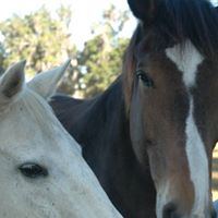 Martin Palmer Photo 27