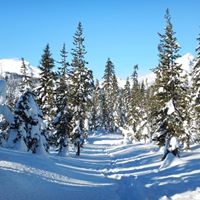 Valerie Downey Photo 5