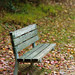 Shelley Huff Photo 29