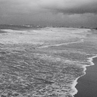 Mark Levine Photo 50 Mark Levine Photo 50