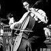 David Feldman Photo 64