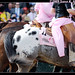Susan Pink Photo 6