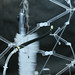 Allen Weis Photo 8