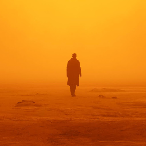 Donald Mccormick Photo 15