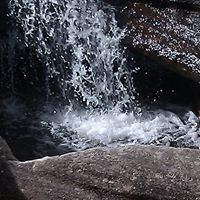 Janet Groves Photo 2