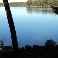 Steven Purdy Photo 10