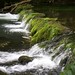 Dale Fall Photo 9