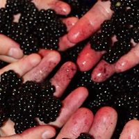 Lynne Morris Photo 22