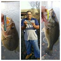 Craig Ellis Photo 42