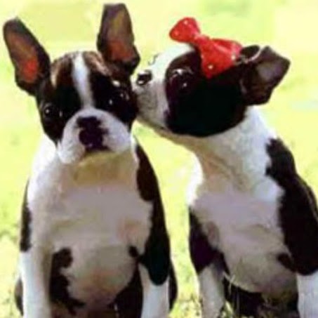 Julie Weigel Photo 8