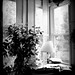Martha Shirley Photo 24