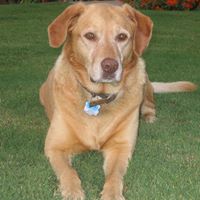 Stacey Little Photo 19 Stacey Little Photo 19