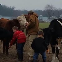 Michael Bunting Photo 37