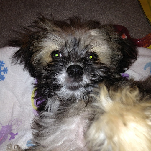 Alicia Conway Photo 7