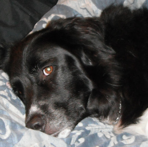 Lori Vaughan Photo 28