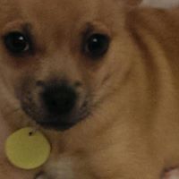 Pam Meadows Photo 18