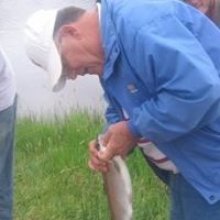 Robert Hedges Photo 47