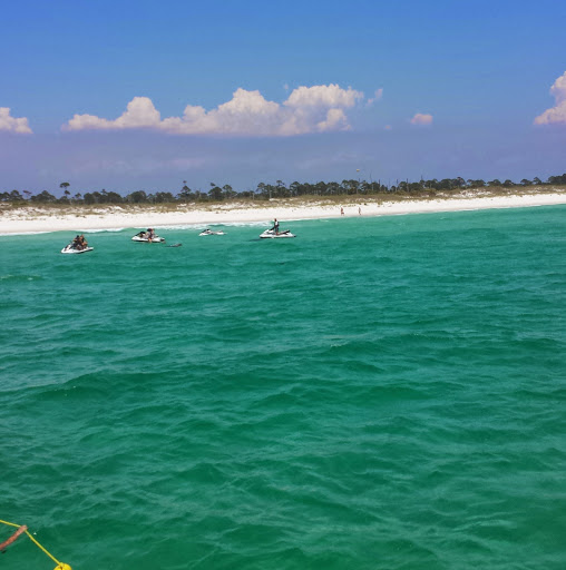 Terri Phillips Photo 26