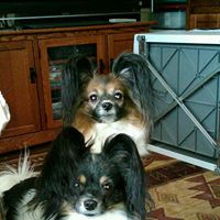 Jessica Dickinson Photo 30