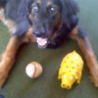 Cindy Sharpe Photo 22