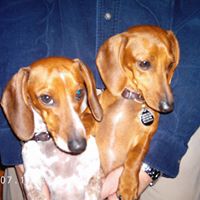 Beverly Howe Photo 15