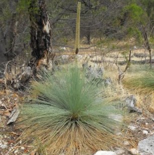 Rene Olson Photo 10