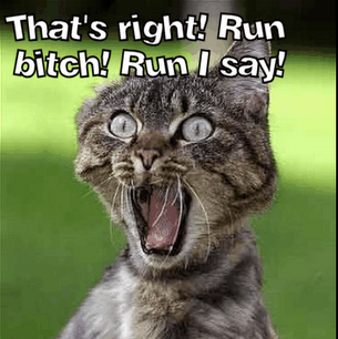 Cassie Long Photo 14