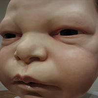 Brian Nowak Photo 11