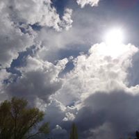 Nancy Brooker Photo 7