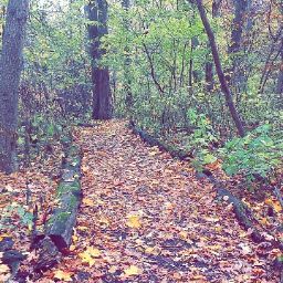 Stephanie O'Keefe Photo 8