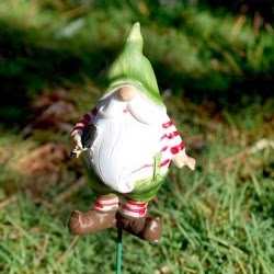 Janet Caruso Photo 12