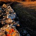 Richard Istre Photo 10