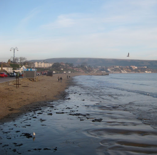 Stephen Hoskins Photo 27