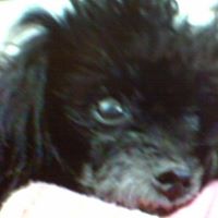 Cheryl Sutherlin Photo 6