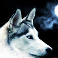 Russell Wolfe Photo 7