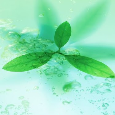 Beverly Ford Photo 1