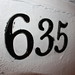 Michael Delvecchio Photo 24