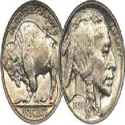 Robin Waller Photo 16